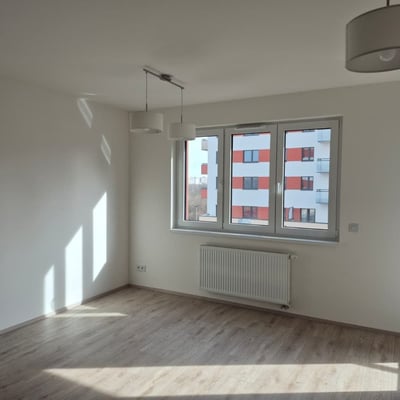 Modern apartment for rent, 42 m², Hlubočepy, Prague, Czech Republic