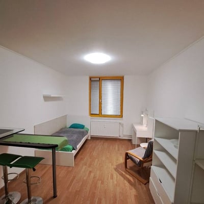 Helles, gemütliches Studio zur Miete, Petržalka, Bratislava, Slowakei