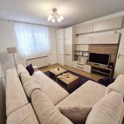 Bright apartment for rent, 50 m², Vračar, Belgrade, Serbia
