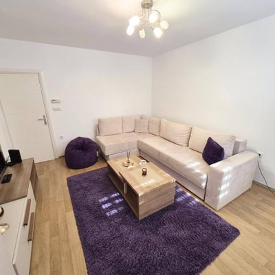 Bright apartment for rent, 50 m², Vračar, Belgrade, Serbia