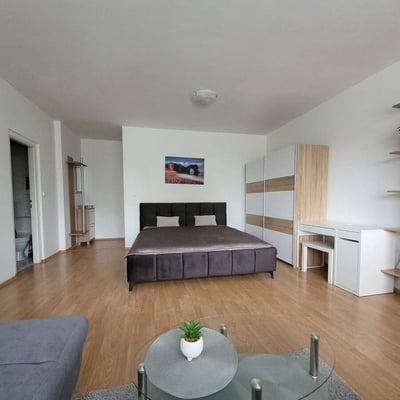 Аренда уютной, меблированной студии, Ружинов, Братислава, Словакия