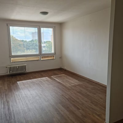 Spacious, bright apartment for rent, 66 m², Braník, Prague, Czech Republic