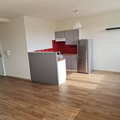 Spacious, bright apartment for rent, 66 m², Braník, Prague, Czech Republic