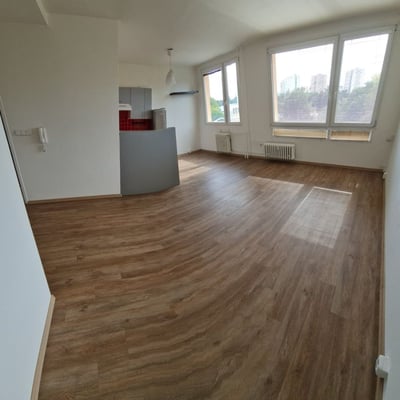 Spacious, bright apartment for rent, 66 m², Braník, Prague, Czech Republic