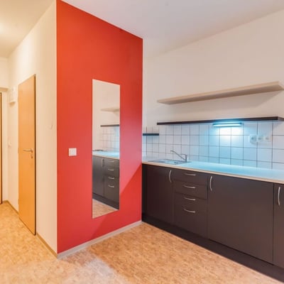 Compact apartment for rent, 20 m², Smíchov, Prague, Czech Republic