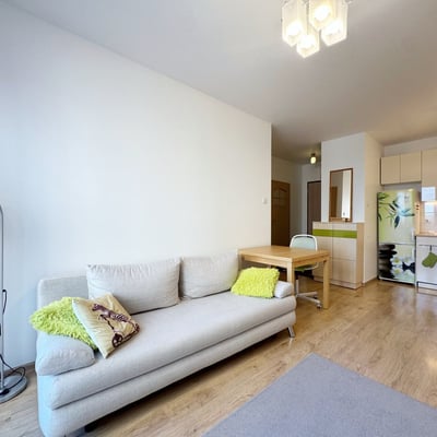 Bright, furnished apartment for rent, 42 m², Bielany, Warsaw, Poland