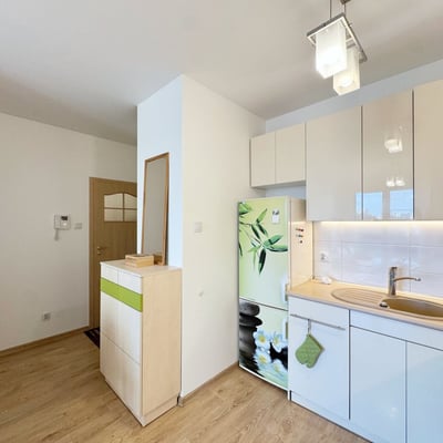 Bright, furnished apartment for rent, 42 m², Bielany, Warsaw, Poland