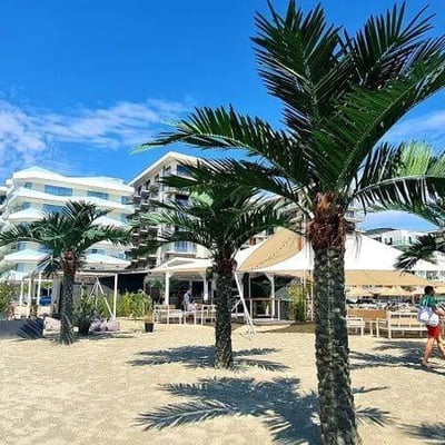 Apartment near the sea for rent, 55 m², Mamaia Sat, Romania