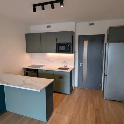 Modern and spacious studio apartment with loggia for rent, 47 m², Hloubětín, Prague 9, Czech Republic