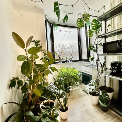 Location d’un appartement meublé de 3 pièces, Telecentru, Chișinău, Moldavie