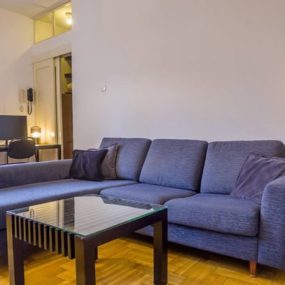 Аренда уютной квартиры с 1 спальней, 35 м², центр города, Белград, Сербия