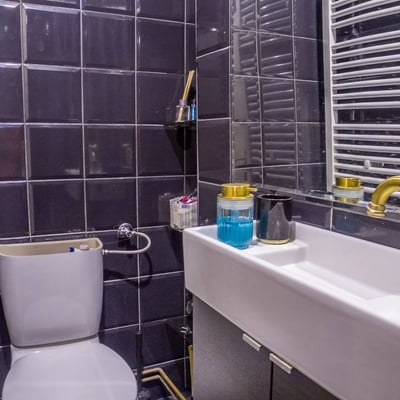 Cozy 1-bedroom apartment for rent, 35 m², city center, Belgrade, Serbia