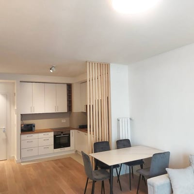 Аренда комфортной квартиры в ЖК BW Echo, 58 м², Белград, Сербия