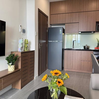 Modern, furnished apartment for rent, Da Nang, Vietnam