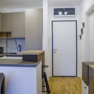 Gemütliche Wohnung zur Miete, 41 m², Zvezdara, Belgrad, Serbien