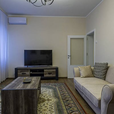 Spacious, furnished apartment for rent, 85 m², Vracar, Belgrade, Serbia