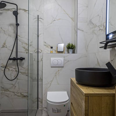 Spacious, furnished apartment for rent, 85 m², Vracar, Belgrade, Serbia