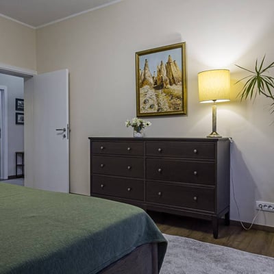 Spacious, furnished apartment for rent, 85 m², Vracar, Belgrade, Serbia