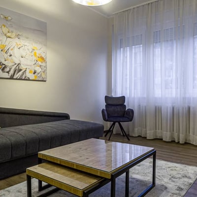 Alquiler de amplio apartamento amueblado, 85 m², Vracar, Belgrado, Serbia