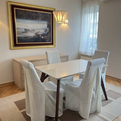 Bright, spacious apartment for rent, 100 m², Vracar, Belgrade, Serbia