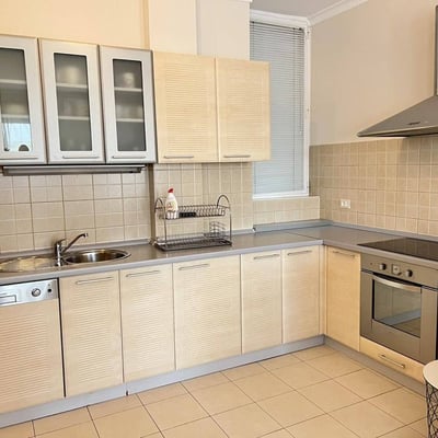 Bright, spacious apartment for rent, 100 m², Vracar, Belgrade, Serbia