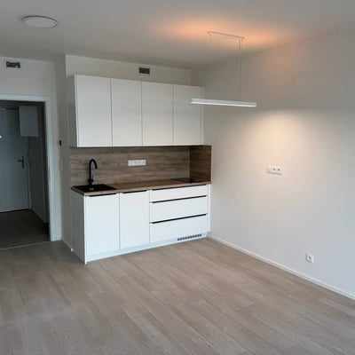 Location d’un appartement moderne et lumineux, 32 м², Hloubetin, Prague, République tchèque