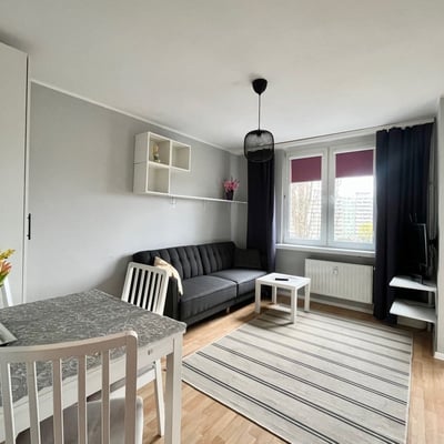 Аренда светлой, меблированной квартиры, 31 м², Таргувек, Варшава, Польша