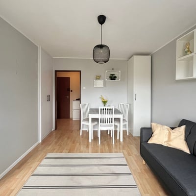 Аренда светлой, меблированной квартиры, 31 м², Таргувек, Варшава, Польша