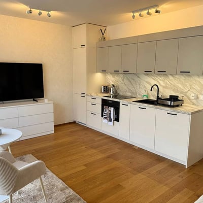 Stylish and comfortable 33 m² apartment for rent, Prague, Czech Republic