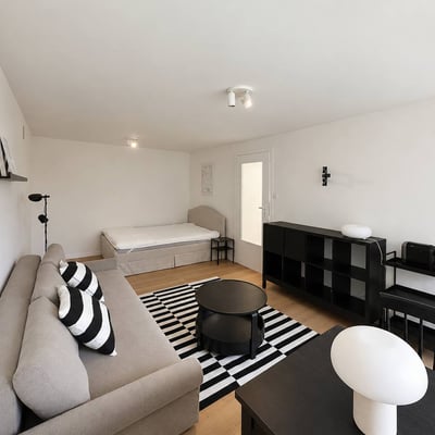 Rent of a bright, comfortable studio 30 m², City Center, Warsaw