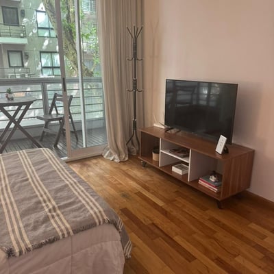Cozy Studio for Rent, Palermo, Buenos Aires, Argentina