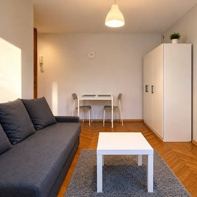 Cozy and spacious studio apartment for rent, Śródmieście, Warsaw