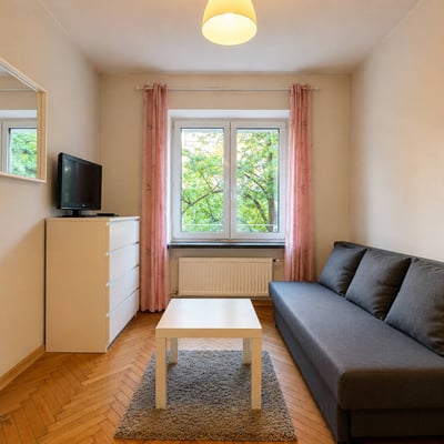 Cozy and spacious studio apartment for rent, Śródmieście, Warsaw