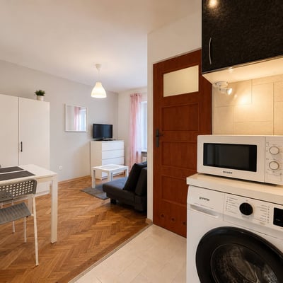 Cozy and spacious studio apartment for rent, Śródmieście, Warsaw