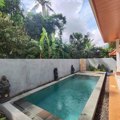 New villa with pool for rent Ubud (Sayan area), Bali