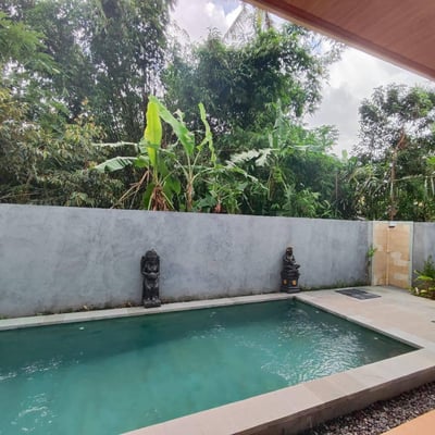 New villa with pool for rent Ubud (Sayan area), Bali