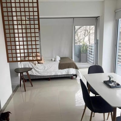 45m² Studio Apartment for Rent in Palermo, Buenos Aires