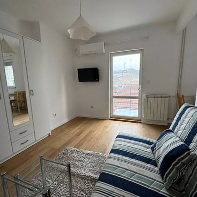 One-room Apartment for Rent Near the City Center in Belgrade