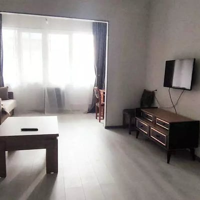 Long-Term Rental: 2+1 Apartment, Agmashenebeli St. 5, Batumi