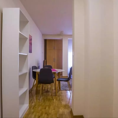 Long-term rental of a studio in Belgrade near Slavia Square