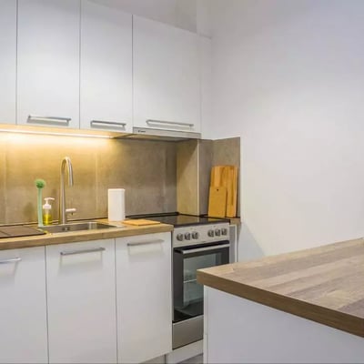 Long-term rental of a cozy two-bedroom apartment in the center of Vračar, Belgrade