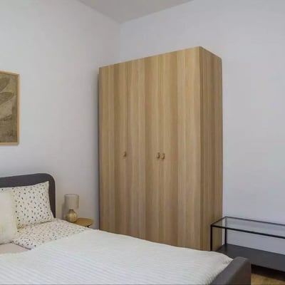 Long-term rental of a cozy two-bedroom apartment in the center of Vračar, Belgrade