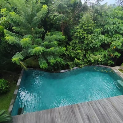 Long-term rental of a new villa with jungle view in Ubud, Bali, Kecamatan area