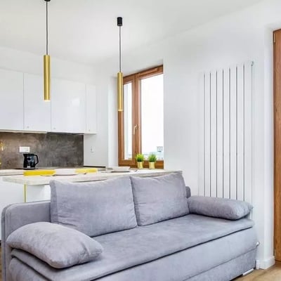 Long-term rental of a 1-room apartment in Kraków, Czyżyny district, Poland