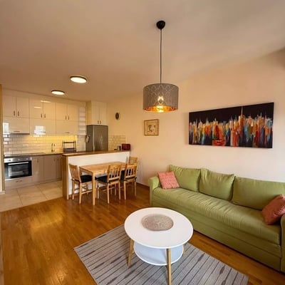 Long-term rental of a 2-rooms apartment in Belgrade, city center, Serbia