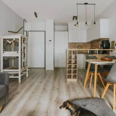 Long-term rental modern apartment with gym and spa, Wrocław, Poland