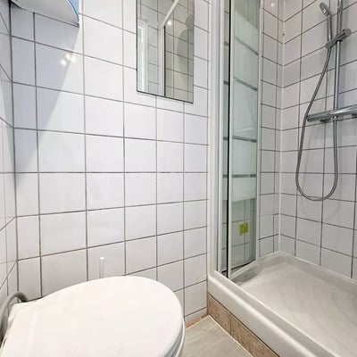 Long-term rental studio in Paris 15th district, private toilet