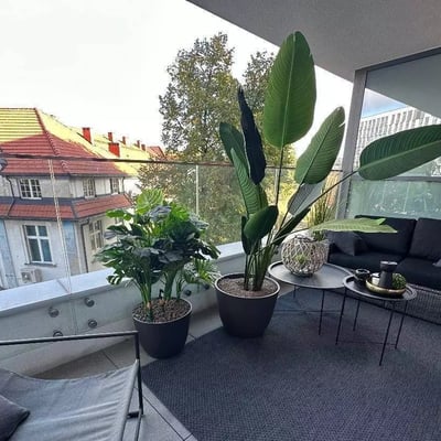 Long-term rental 1-room apartment on Grzegórzecka Street, Kraków