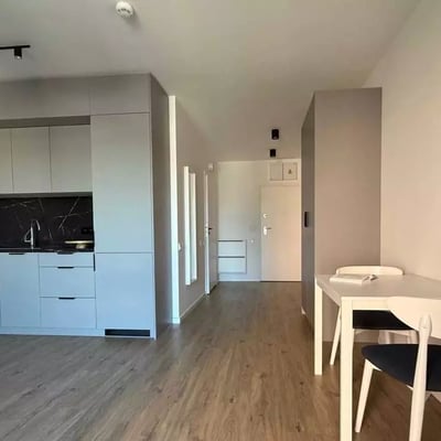 Long-term rental cozy 1-room apartment with balcony and pet-friendly, Wrocław