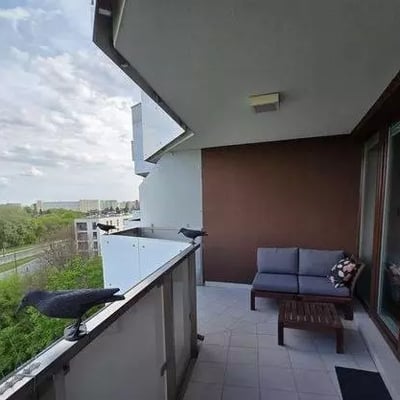 Long-term rental spacious 2-room apartment with terrace in Mokotów district, Warsaw, Poland